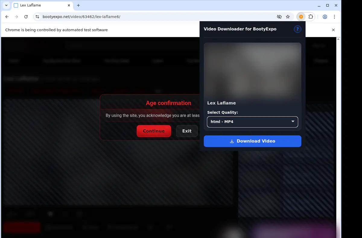 Bootyexpo Video Downloader browser extension screenshot 4